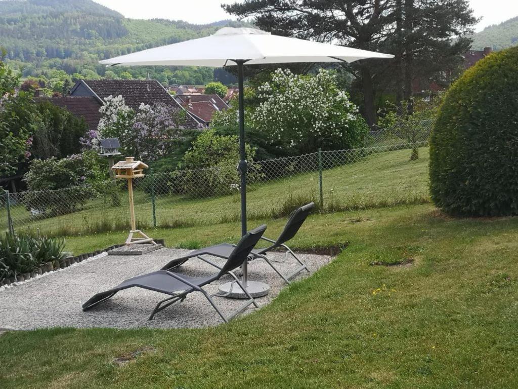 Casa Carlotta - Keine Monteure Villa Langelsheim Bagian luar foto